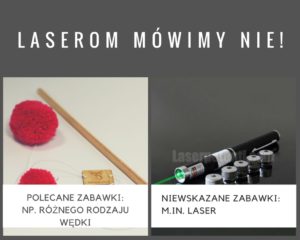 niewskazane niebezpieczne zabawki dla kota laser